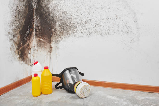 Best Crawl Space Mold Removal  in Bazon, CA