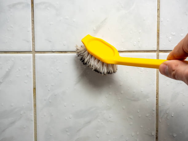 Best Black Mold Removal  in Bazon, CA