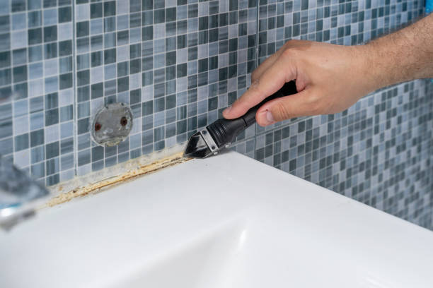 Best Home Mold Removal  in Bazon, CA