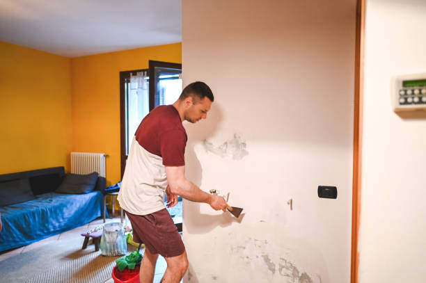Best Home Mold Removal  in Bazon, CA