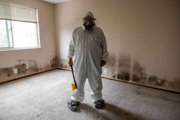 Best Commercial Mold Removal  in Bazon, CA